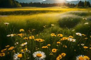 A field of wildflowers and a mountain in the background photo