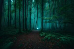A path through a dark forest with a light shining through the trees photo