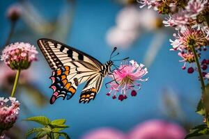 A butterfly is sitting on a flower with pink flowers photo