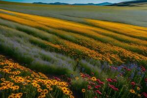 A field of wildflowers with mountains in the background photo