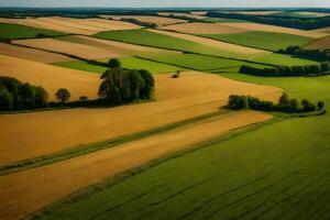 An aerial view of a field with trees and fields photo