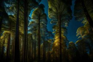A forest at night with trees and stars photo