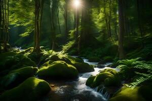 A stream runs through a forest with green moss photo