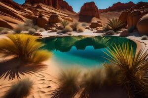 A pool in the desert with plants and rocks photo