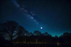 The milky way and the moon over a forest photo