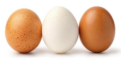 Free Range Eggs in Nest photo