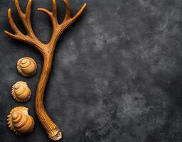 Decorative elk antlers and seashells on a dark textured surface. photo
