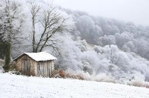 Snowy landscape with a rustic wooden shed nestled among frosted trees. photo
