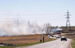 Dry grass and reeds near residential buildings. photo