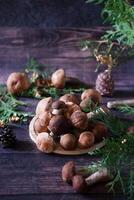 A simple and elegant flat lay depicting mushrooms and fern leaves, neatly arranged on a dark, wood-grained background. photo