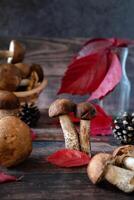 An aesthetic flat lay depicting a variety of brown mushrooms and bright green fern leaves scattered across a dark, textured wooden surface. photo