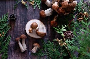 Close-up of a natural arrangement featuring brown mushrooms and fern leaves on a dark, rustic wooden surface. photo