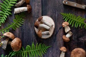 A photograph of a woodland-themed setting with mushrooms and fern leaves set against a dark wooden texture. photo