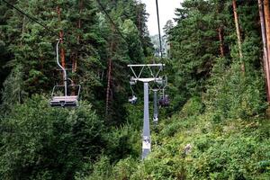 Chairlifts carry passengers over a dense, green forest with tall trees under a cloudy sky. photo