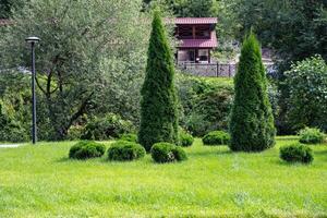 Couple sitting on a bench in a lush green park, surrounded by trees. photo