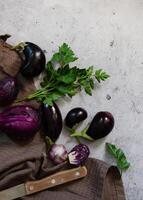 A flat lay image featuring eggplants, parsley, and a knife on a textured, grey surface. photo