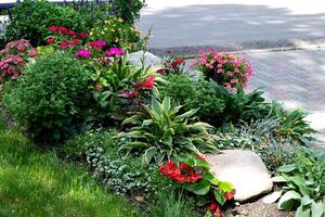 Lush flower bed with colorful blooms and greenery in a garden. Botanic garden. photo
