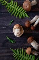 A flat lay image of brown mushrooms and green fern leaves arranged on a dark, textured wooden surface. photo