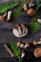 Overhead shot of a rustic arrangement featuring several brown-capped mushrooms and vibrant green fern leaves on a dark wooden backdrop. photo