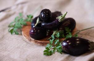 Raw fresh striped eggplants, dark background, rustic style, selective focus, low key photo