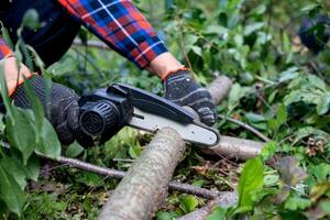 A man in gloves saws a wooden tree trunk with a saw. photo