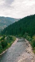 River Flowing Through Forested Valley with Mountain View. A peaceful river winding through a forested valley with green trees lining its banks, under a cloudy video