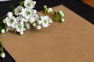 Elegant arrangement of flowers and stationery on a white surface with scissors and ribbon for crafting projects photo