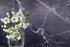 Freshly picked white flowers arranged in glass vials on a textured dark stone surface during daylight photo