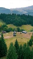 Aerial View of Forested Valley with Scattered Houses. An expansive aerial view of a forested valley, showcasing a scattering of houses and cabins nestled among video