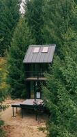 Cozy Cabin Nestled Among Trees, A cozy cabin with a modern design is nestled deep within a dense evergreen forest, offering an intimate view of nature with a video