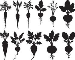 Silhouettes of various root vegetables and carrots vector