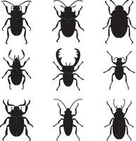 illustration of different types of beetles vector