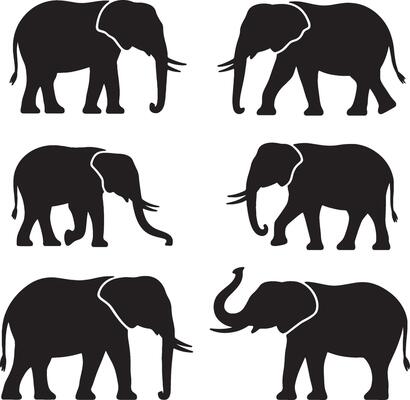 silhouettes of african elephants walking
