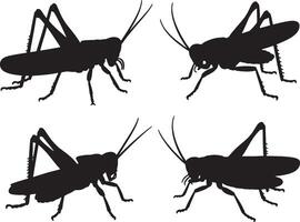 Four grasshopper silhouettes different poses vector