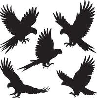 black silhouettes of parrots on white background vector