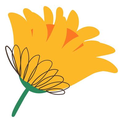 Doodle Yellow Flower with Simple Brush Line Decorations. Minimal plant with cute line sketches of branches isolated on white background. Nature herb perfect for invitations, cards, posters, holidays
