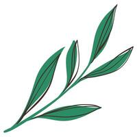 Green Branch with with Simple Brush Line Leaves. Delicate foliage with cute line sketches of branches isolated on white background. Nature herb perfect for invitations, cards, posters, holidays vector