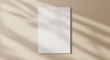 Isolated white rectangle frame on a warm-toned wall with dappled sunlight photo