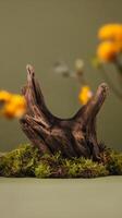 Rustic product stand created from a unique piece of driftwood and lush moss photo