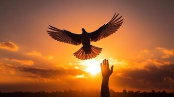 A person reaching up to a dove in the sky photo
