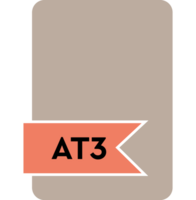 At3 File Format Icon Orange Fill png