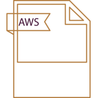 Aws File Format Icon Black Outline And Light Color Text png