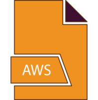 Aws File Format Icon In Shapes 2 Colors And Side Contour png