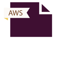 Aws File Format Icon Roe Color Fill png