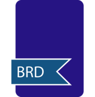 Brd File Format Icon Fill With Label Shape And Contour png
