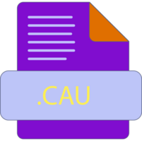 Cau File Extension Icon Minimal Colro Fill png