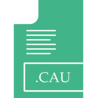Cau File Format Icon Fill Insidse With Symbol png