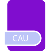 Cau File Format Icon png