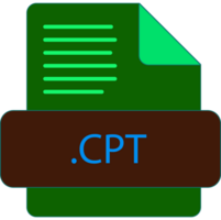 Cpt File Extention Icon Old Minimal Color Fill png