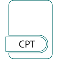 Cpt File Format Icon Black Outline And Light Color Text png